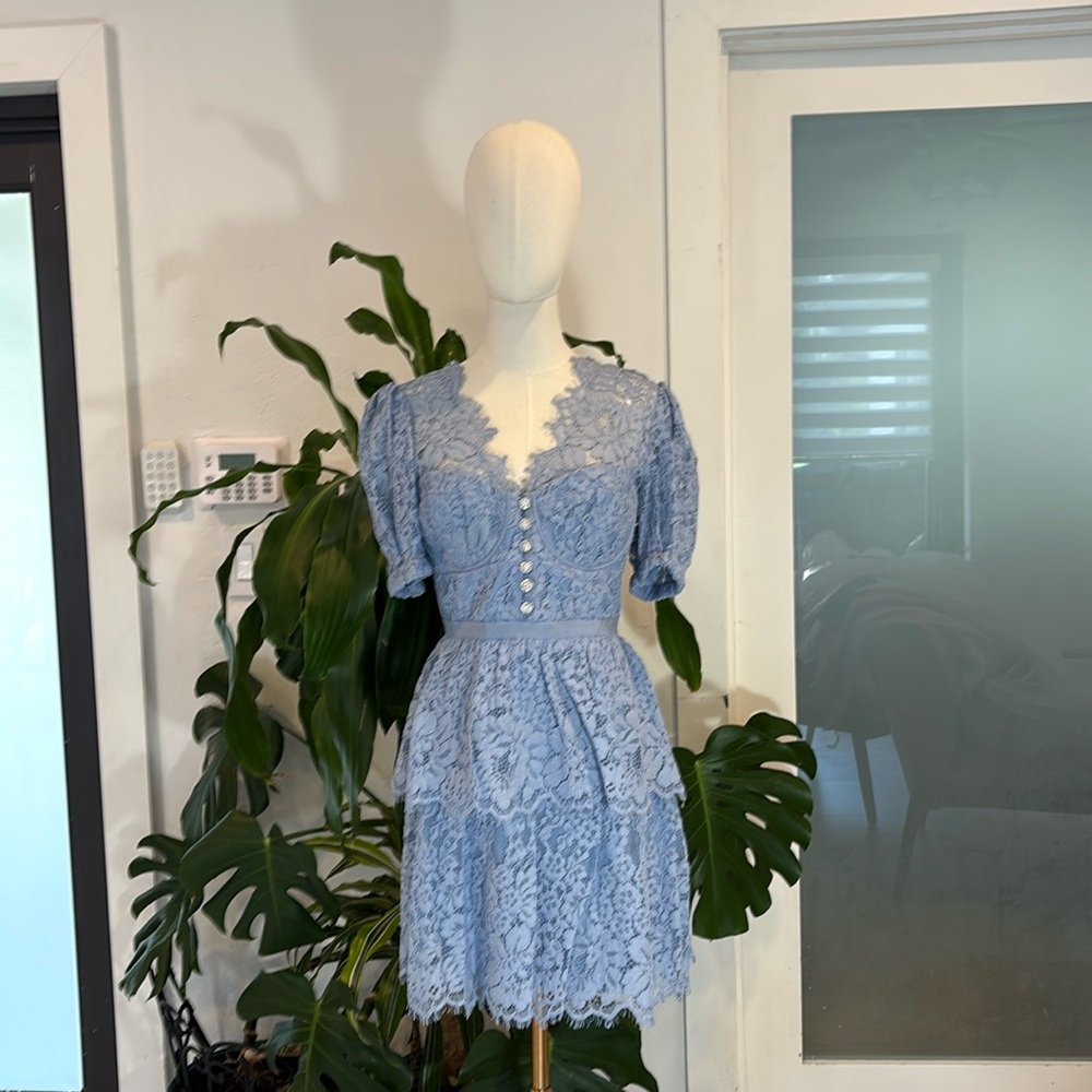 Self-portrait dress
